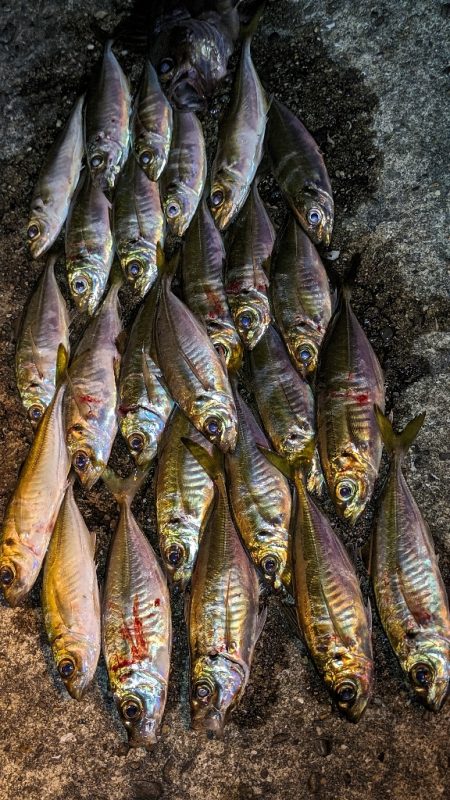 激渋→少し回復？