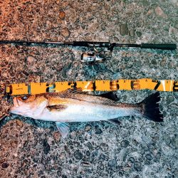 サイズアップ！