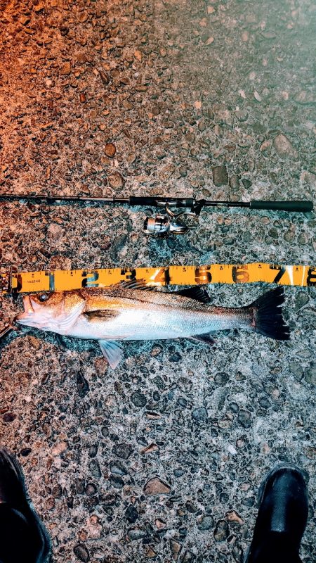 サイズアップ！