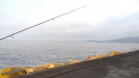 苅屋海岸のキス釣り