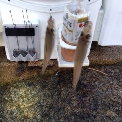 大塩海岸のキス釣り