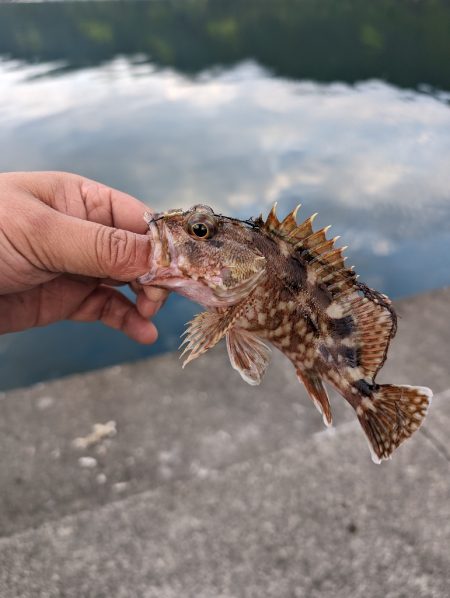 陸っぱり釣行記