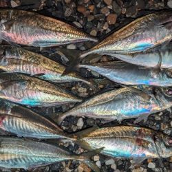 フロートアジング