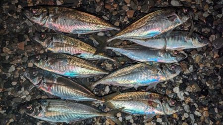 フロートアジング