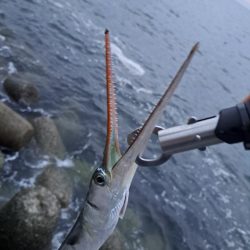 ショアジギングからアジング