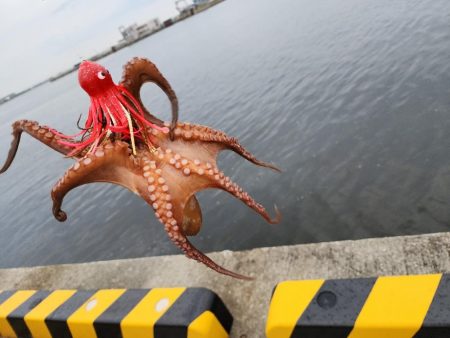 オクトパッシング