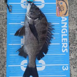 紀州釣りに挑戦しました🙋