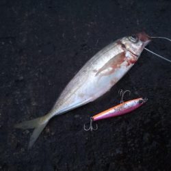 シャワーを浴びながら