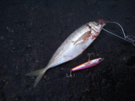 シャワーを浴びながら