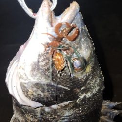 サーフチニング