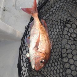 長女とタイラバ！