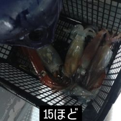 初めてのイカメタル！