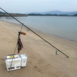 夕方の短時間釣行でしたが釣れました