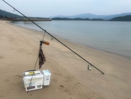 夕方の短時間釣行でしたが釣れました