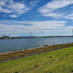 チーバス バイブ系ジグヘッド縛り