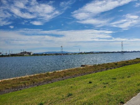 チーバス バイブ系ジグヘッド縛り