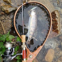 大荒れ続きで雨あとに期待