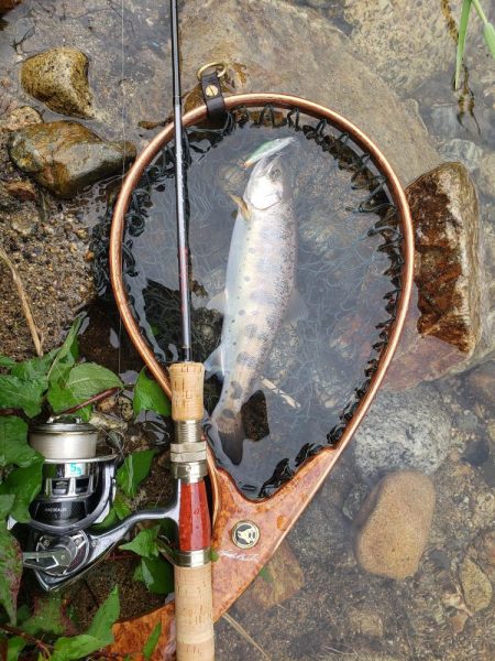 大荒れ続きで雨あとに期待