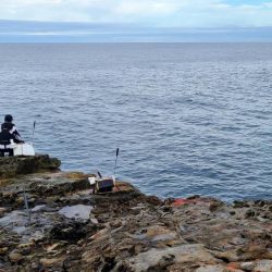 和歌山市江(吉丸渡船)でグレ釣り