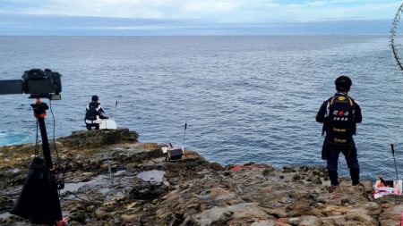 和歌山市江(吉丸渡船)でグレ釣り