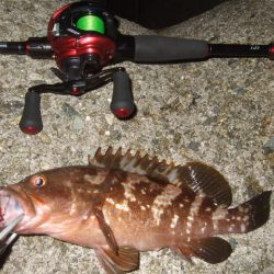 数は出たものの