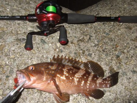 数は出たものの