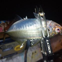 青色ロッドの鱗付け