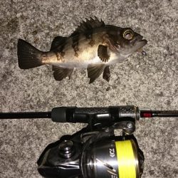 激難メバリング