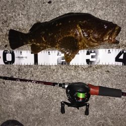 モンスター捕獲