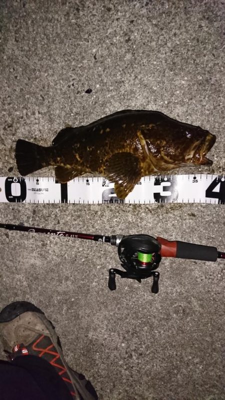 モンスター捕獲