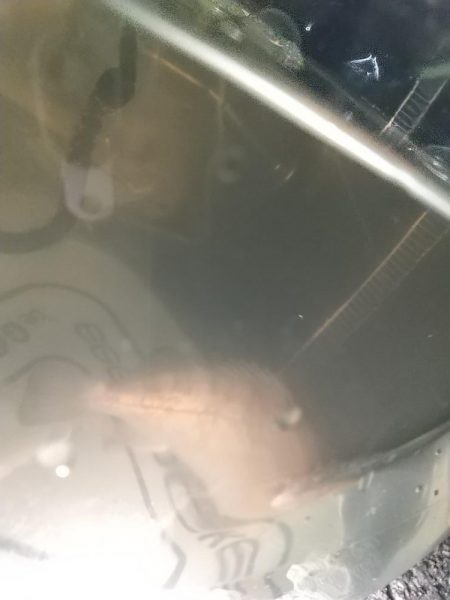 濁りがキツイ！