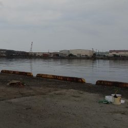 サイズアップを求めて!