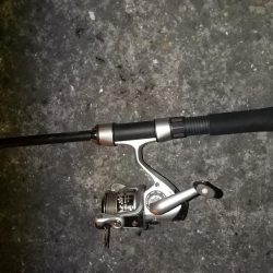 厳しい釣行でした。