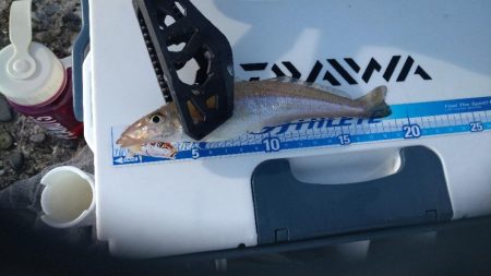 遠投キス投げ釣り