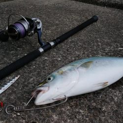 小浦一文字でハマチ