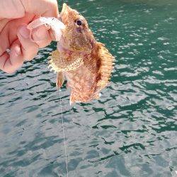 ボートエギング＆ロックフィッシュ