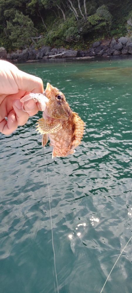 ボートエギング＆ロックフィッシュ