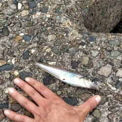 高活性だが···