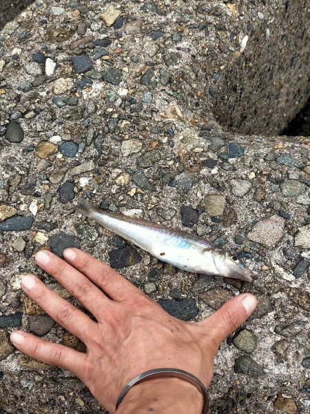 高活性だが···