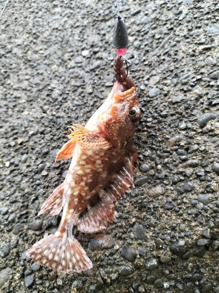 和歌山三重遠征最終日