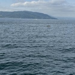 過ごしやすい天気