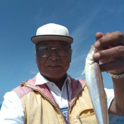 播磨新島のキス