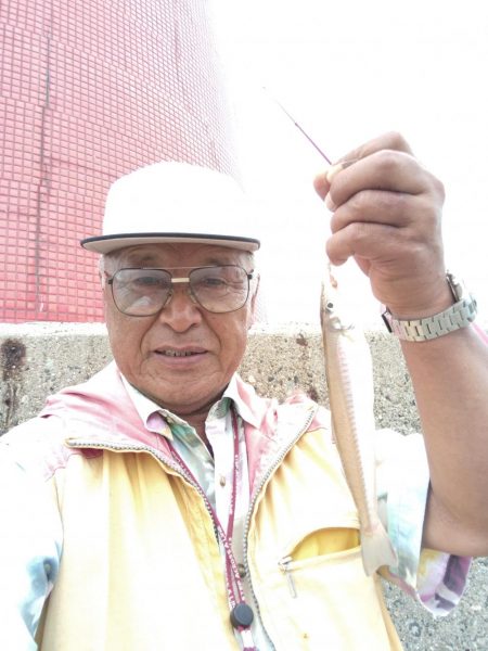 播磨新島のキス調査