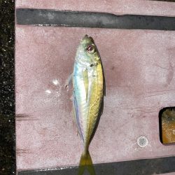 newロッド鱗付けに…