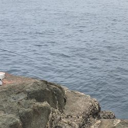 須江港から沖磯