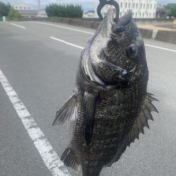 久しぶりの釣りにて。