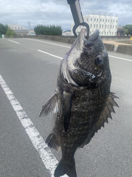 久しぶりの釣りにて。