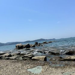 キス&フラット求めて