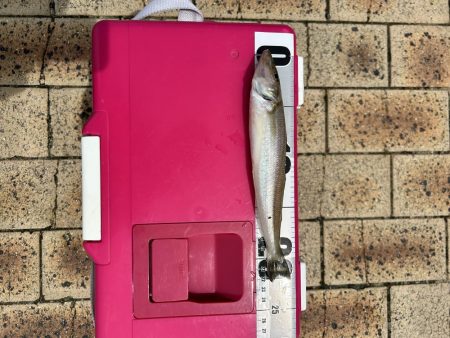 梅雨の晴れ間に！