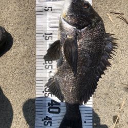 78匹‼️自己新